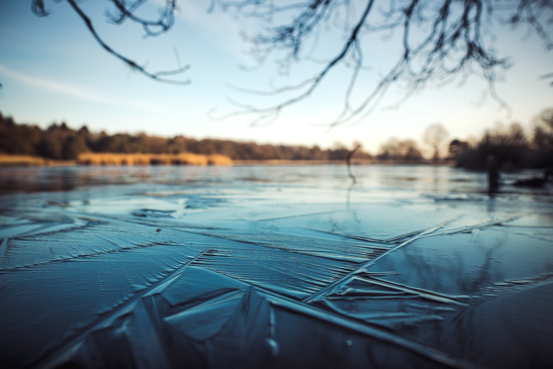 Thin ice on a lake with trees in the background