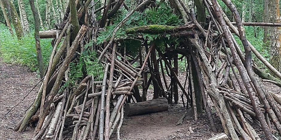 Photograph of a den, made from natural materials by children