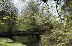A park in Nuneaton