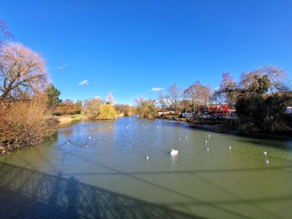 The River Leam from the bridge to Jephson's gardens. Skies are blue and there are swans on the river.