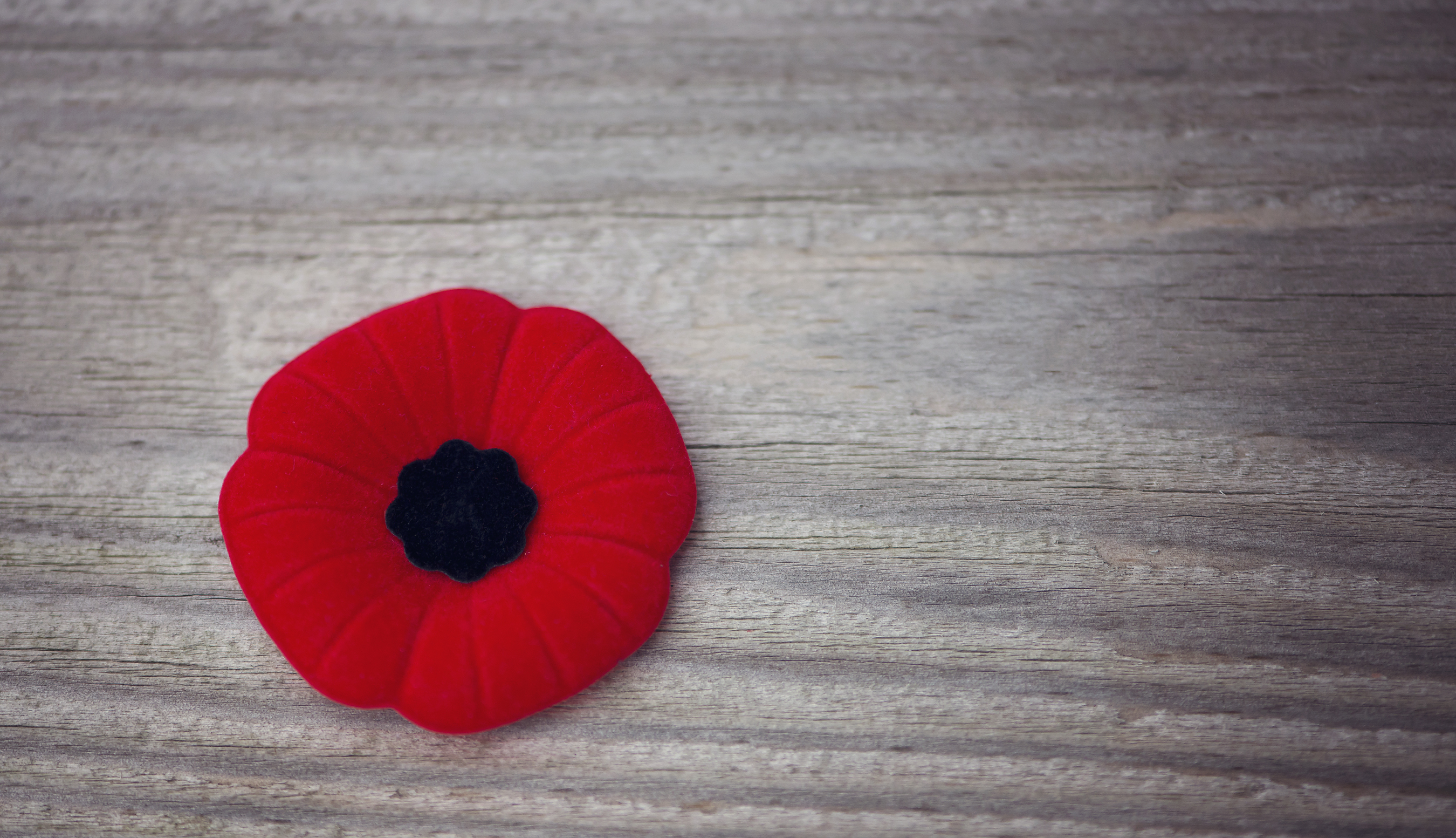 Commemorating Armistice Day and Remembrance Sunday in Warwickshire