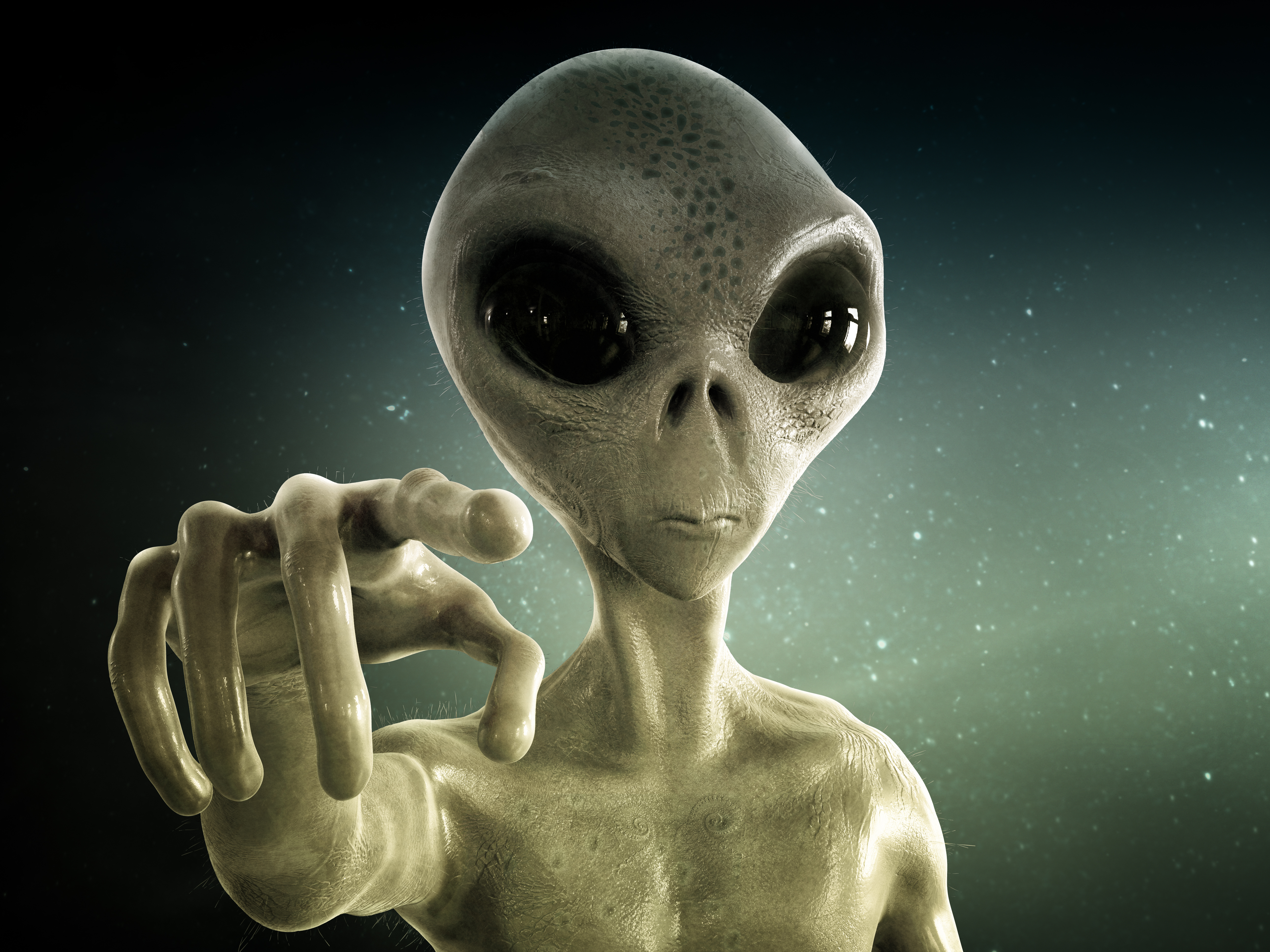 shutterstock_506738992