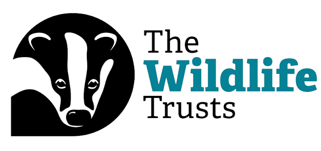 The Wildlife Trust charity logo