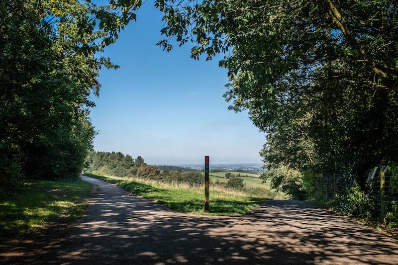 Hartshill hayes country park picture of trees and fields